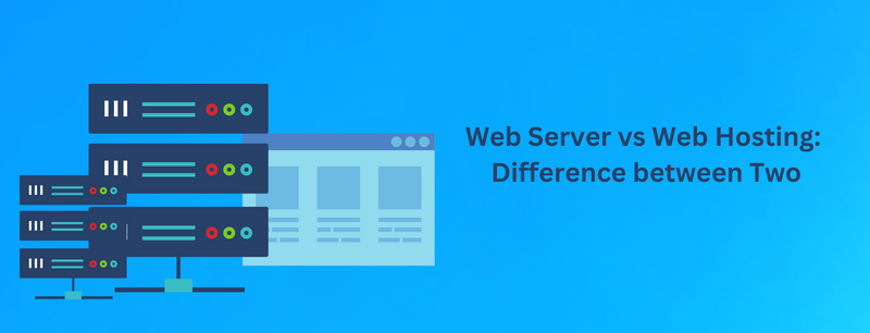 Difference Between Web Hosting and Web Server